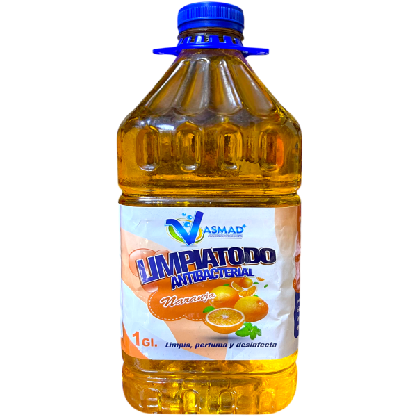 Limpiatodo Floral Galón