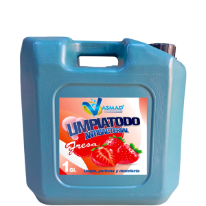 Limpiatodo Fresa Bidon