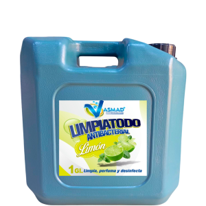 Limpiatodo Limon Bidon