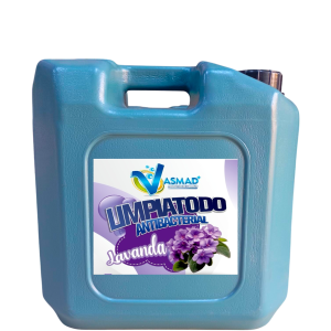 Limpiatodo Lavanda Bidon